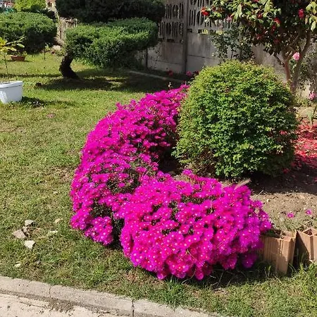 Regina Sul Mare Villa Terracina